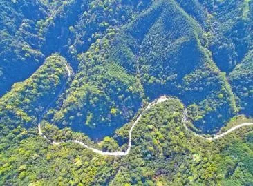 智能化，讓森林防火監(jiān)控管護更“智慧”
